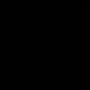 Meet your Posher, Shelley